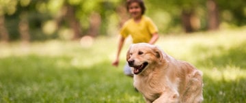 kid and pet